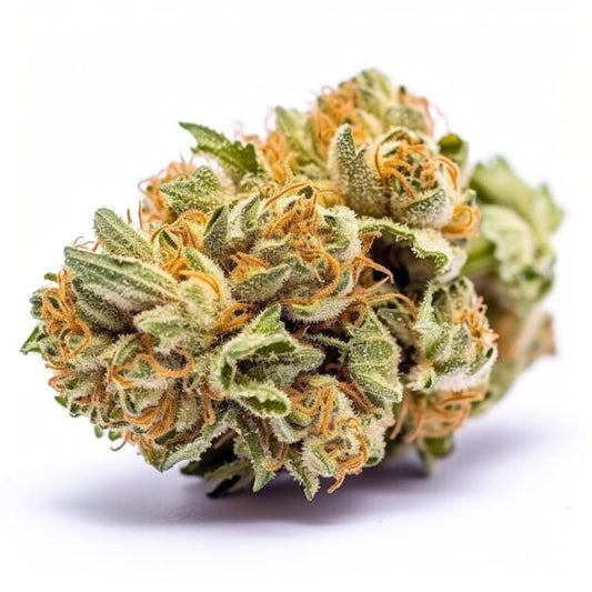 Amnesia Haze Automatic Samen