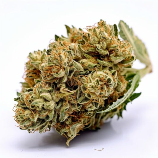 Sour Diesel Haze Automatic Samen