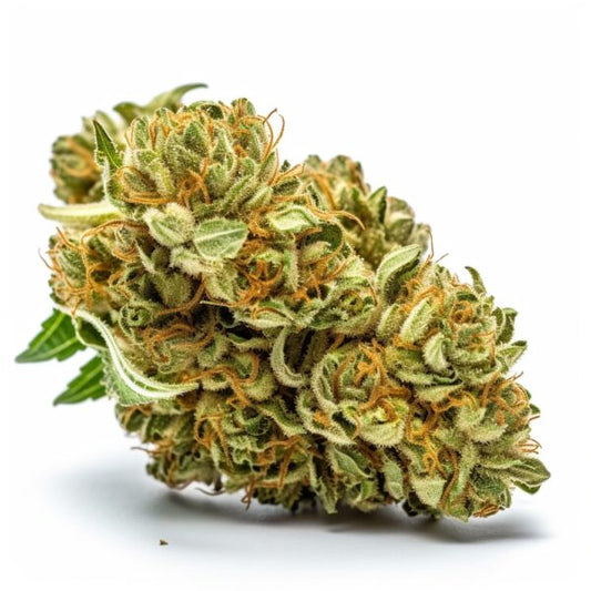 Sour Diesel Haze feminisiert Samen