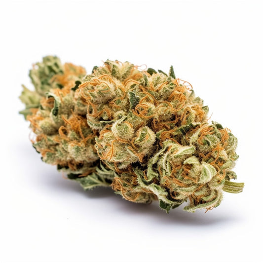 Super Lemon Haze feminisiert Samen